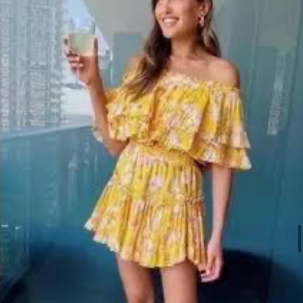 Misa Los Angeles Luisa dress.  NWOT